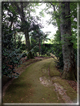 foto Parco botanico Terra Nostra
